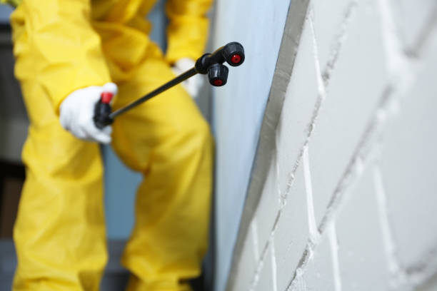 Best Real Estate Pest Inspections  in Springfield, TN